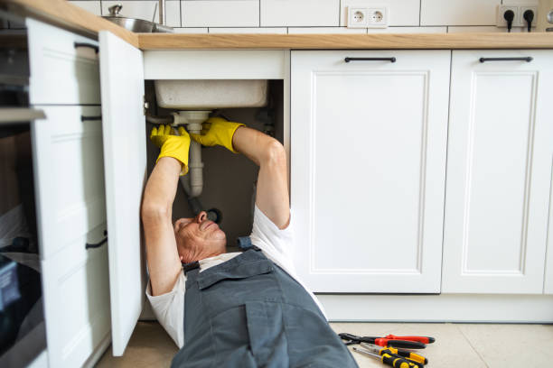 Best Plumbing Services Near Me  in Aviston, IL